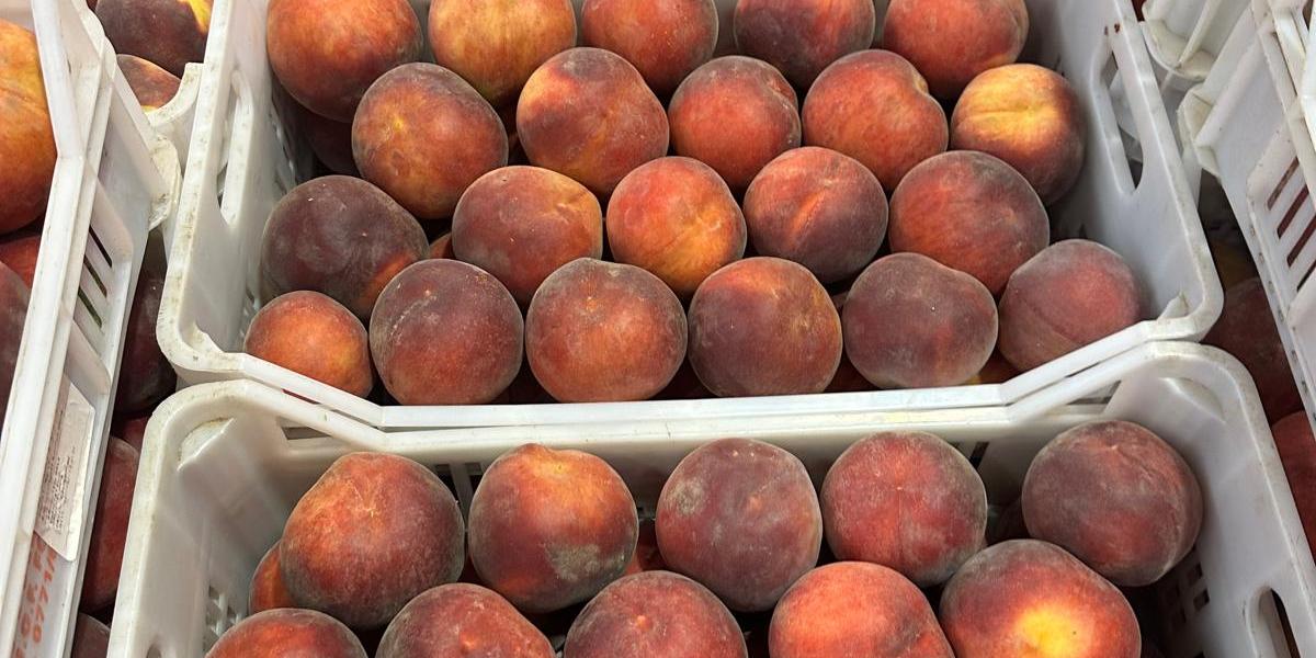 Pesche - Italia, alla rinfusa, prezzo 1,30-1,40 euro/chilo